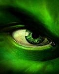 pic for hulk eye